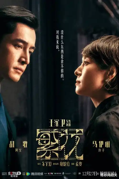 雾城回声 热播电视剧全集在线观看